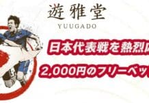 遊雅堂　日本代表戦　フリーベット 2000円